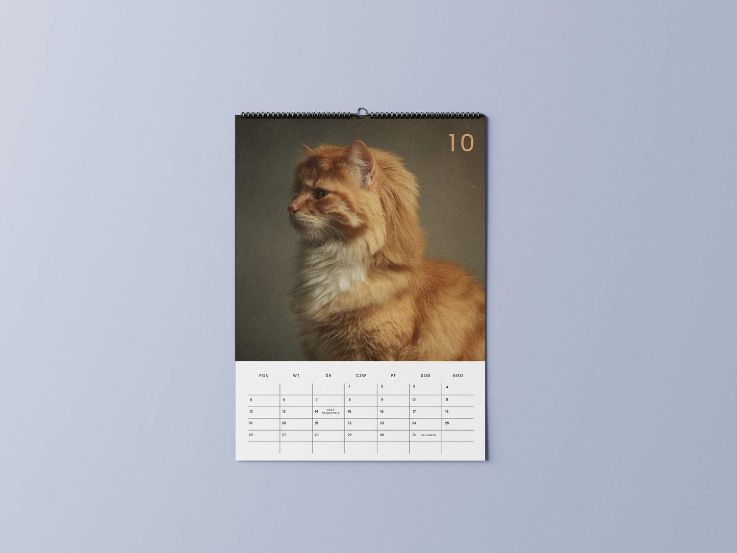 koty w modnych fryzurkach - kalendarz ścienny A3 2026