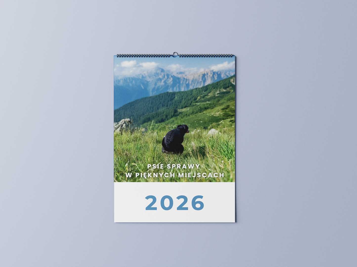 psy robiące kupę w pięknych miejscach - kalendarz ścienny A3 2026