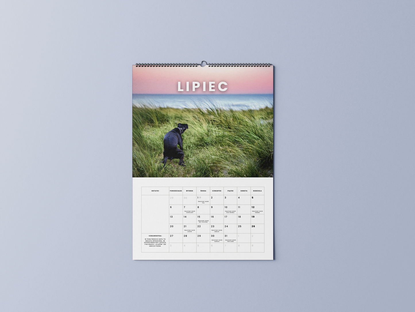 psy robiące kupę w pięknych miejscach - kalendarz ścienny A3 2026