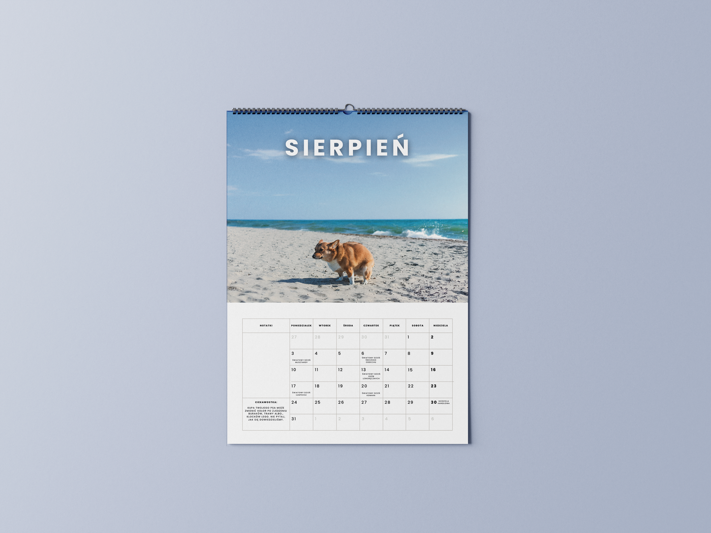 psy robiące kupę w pięknych miejscach - kalendarz ścienny A3 2026