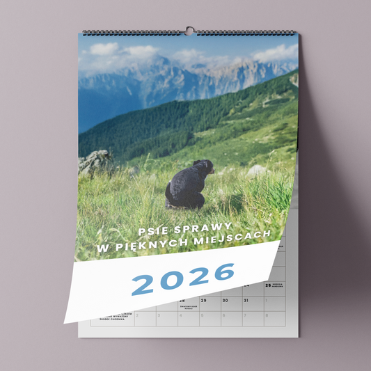 psy robiące kupę w pięknych miejscach - kalendarz ścienny A3 2026